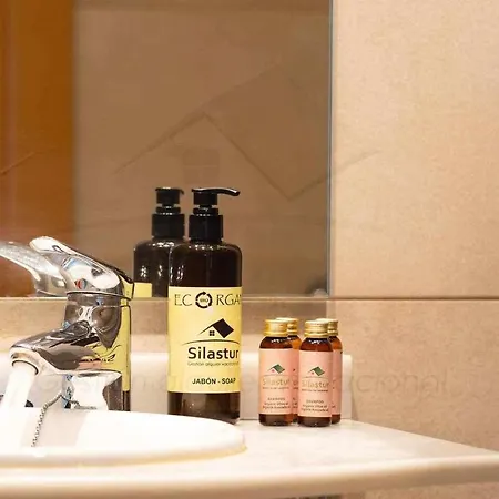 Gaviotas Playa By Silastur